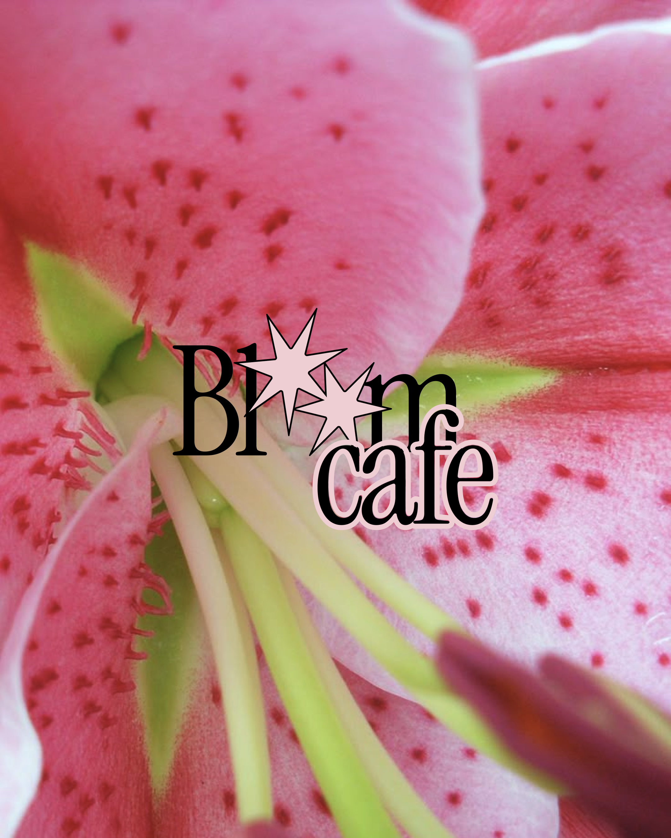 Bloom Cafe wordmark over a pink lily