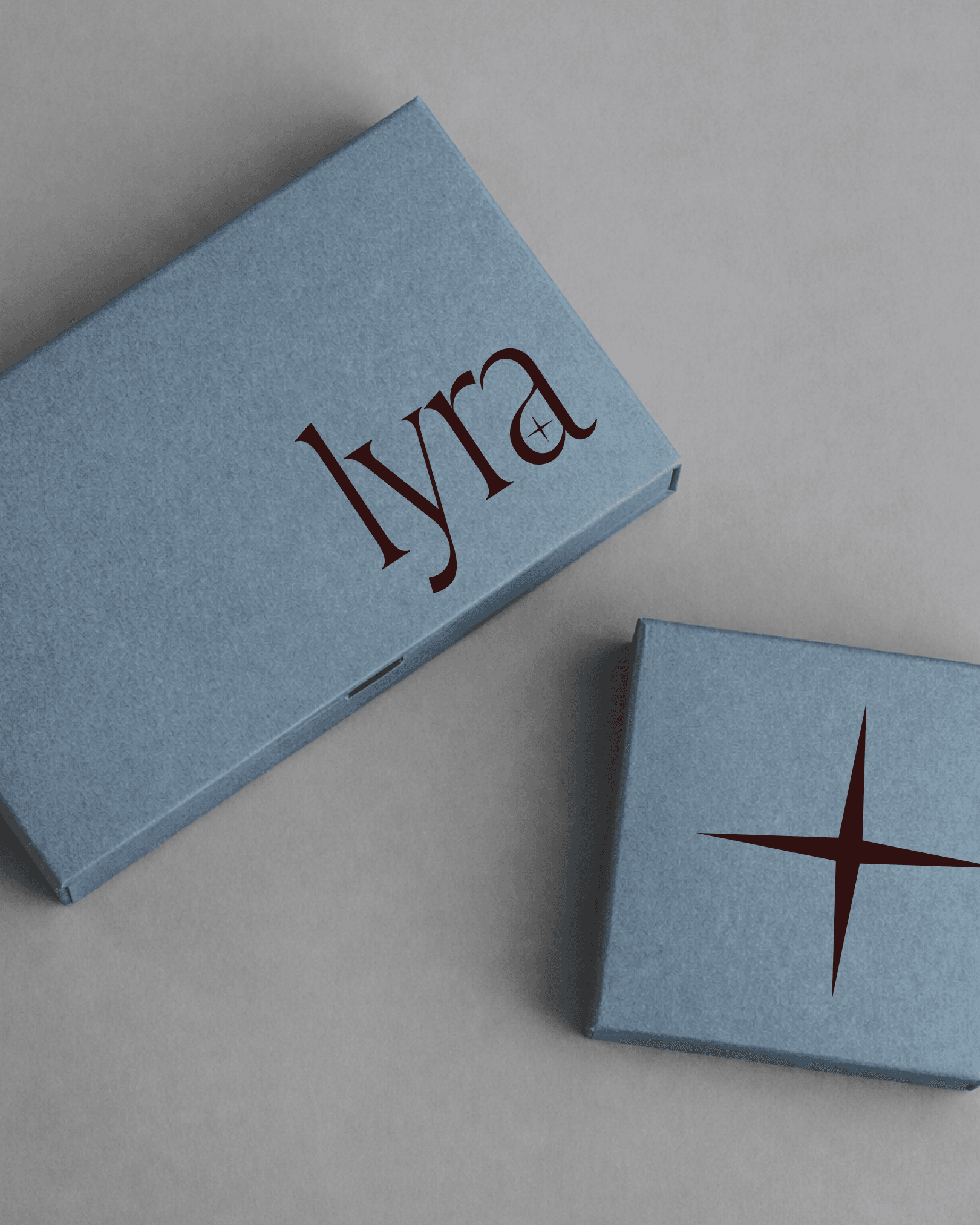 Lyra slate-blue jewellery boxes with a burgundy star mark