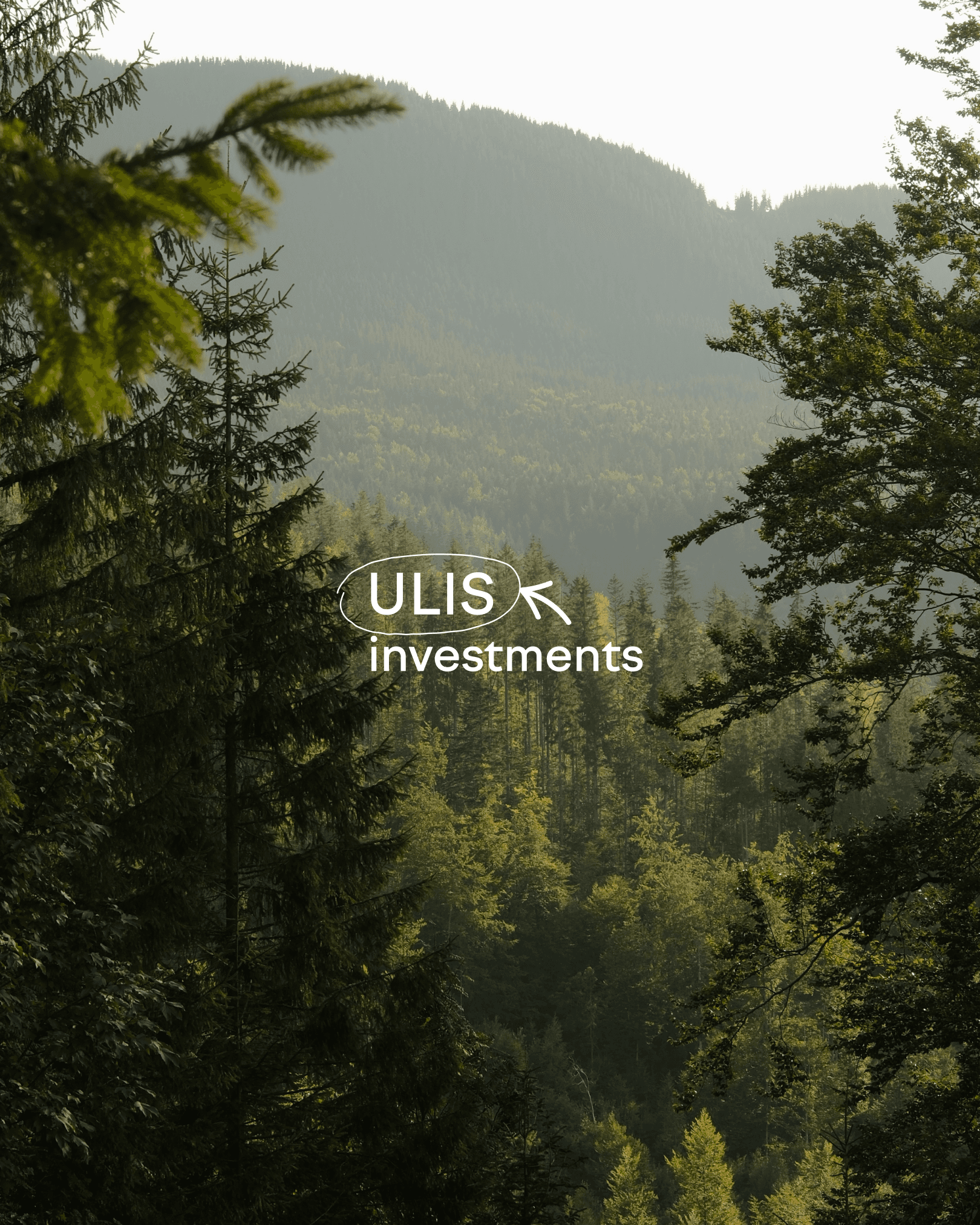 ULIS Investments identity over a sunlit mountain forest
